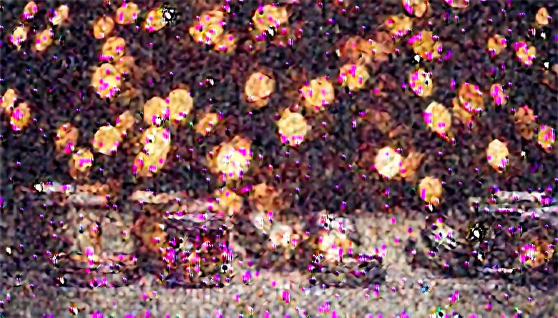 DIY Home Decor for the Holiday Season